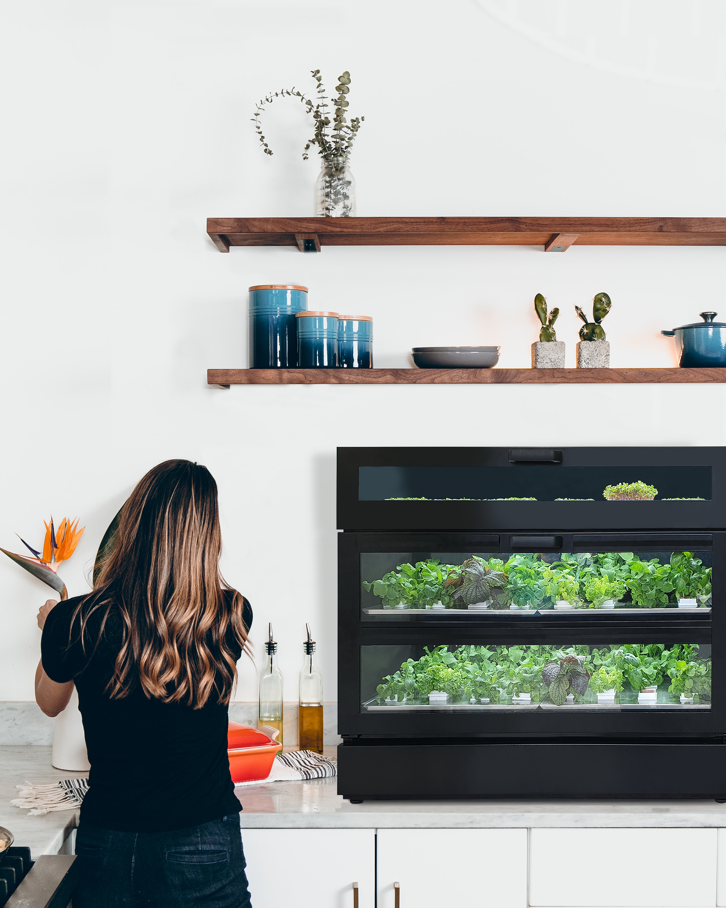 Indoor Garten 96 Ernten pro Monat Salate, Kräuter, Microgreens SET