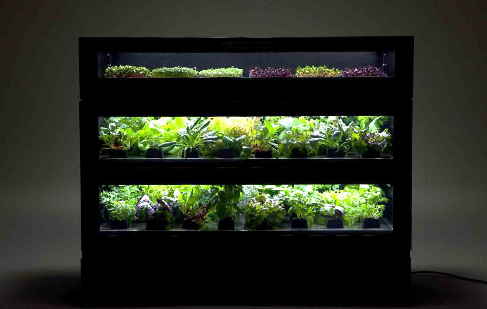 Indoor Garten 96 Ernten pro Monat Salate, Kräuter, Microgreens SET