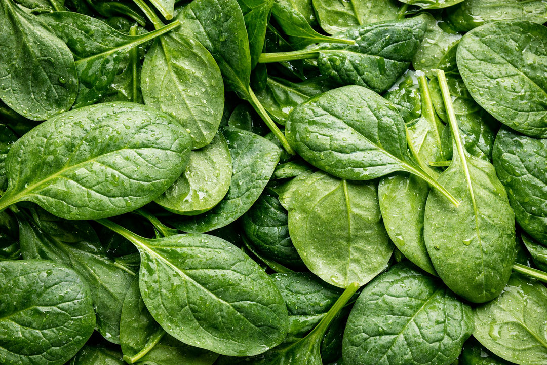 Microgreens: Der smartere Spin auf den Spinat-Trend