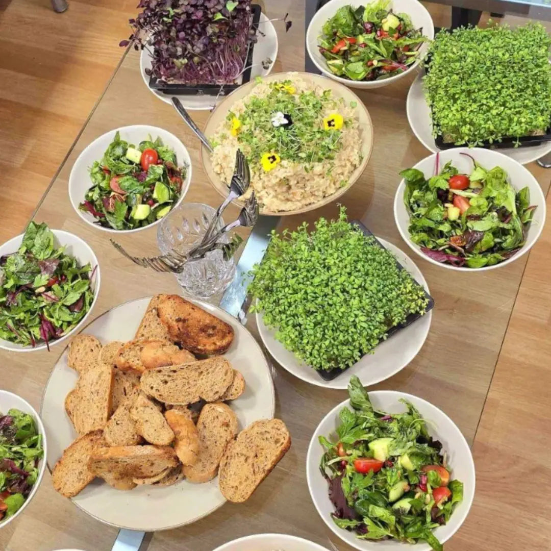 Wow! Ein unfassbar leckeres und gehaltvolles Lunch our greenery