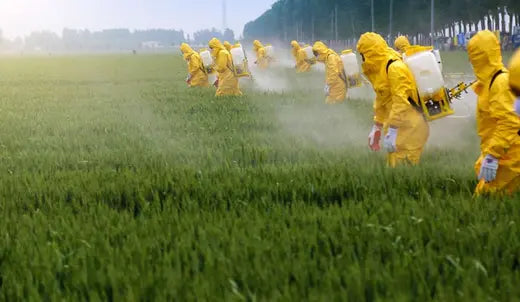 Ein weiteres Beispiel wie uns die konventionelle Landwirtschaft ernsthaft krank macht... our greenery