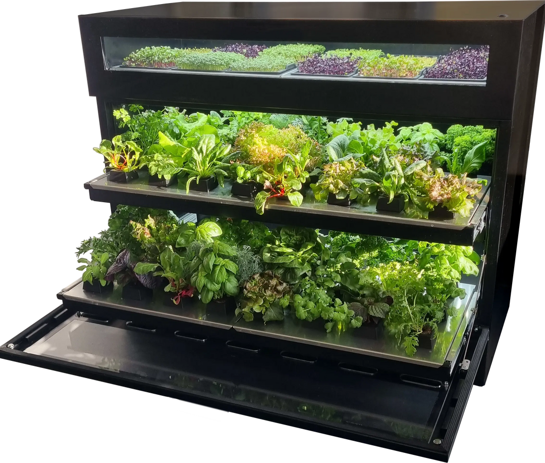 Raumgarten makes the difference - Eine unvergleichlich diverse Auswahl our greenery