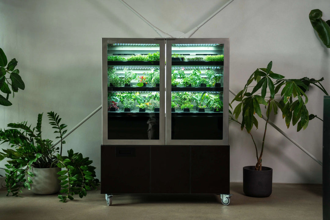 Raumgarten Pro – Indoor Farm für Gastronomie, Restaurants und Hotels, Made in Germany
