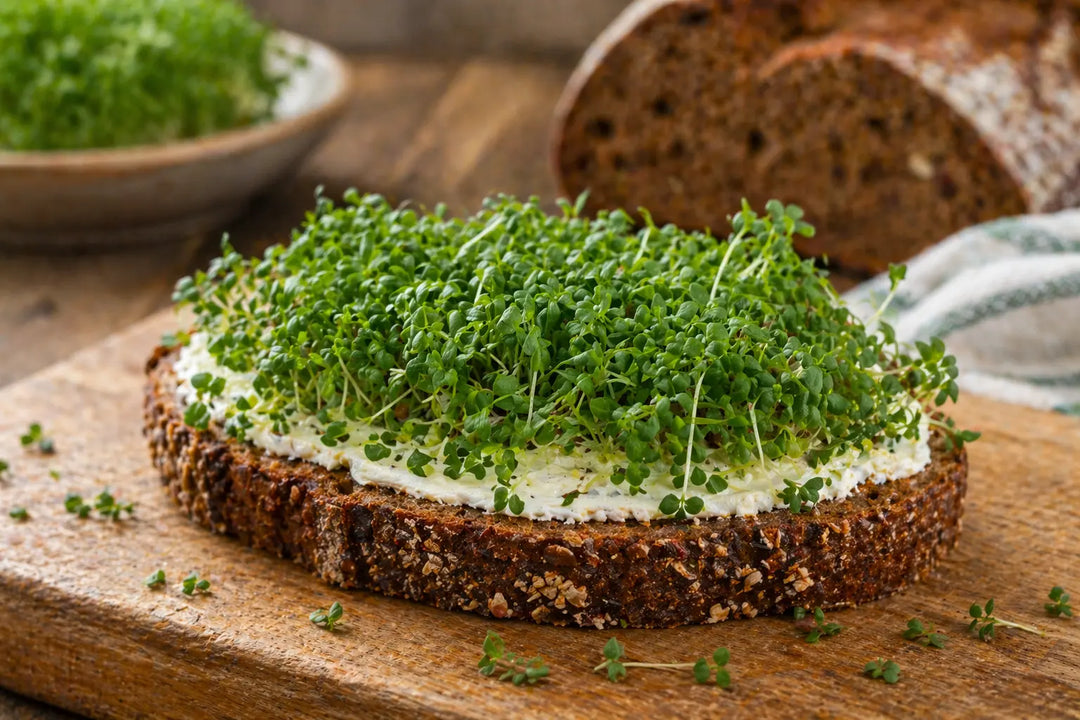 Frische Gartenkresse auf Brot — Our Greenery