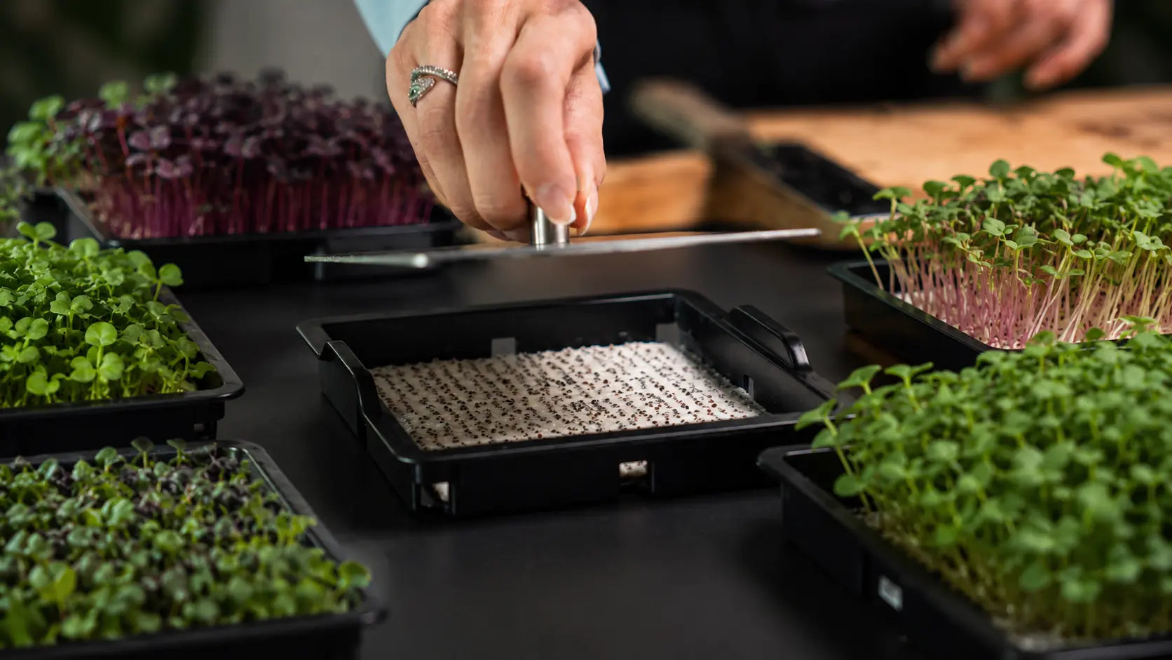 Raumgarten_Model_Microgreens_Photoshoot