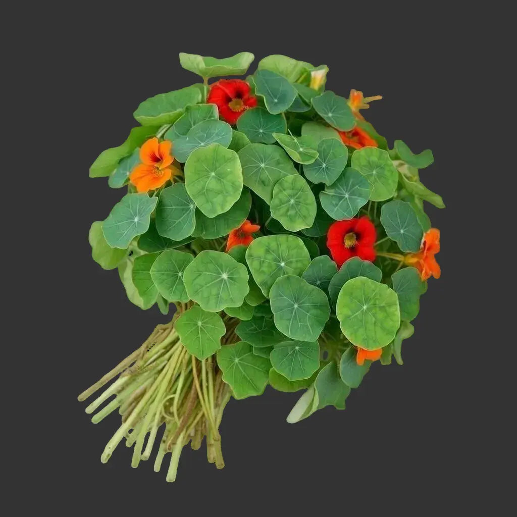 Edible-Flowers-Specialty our greenery