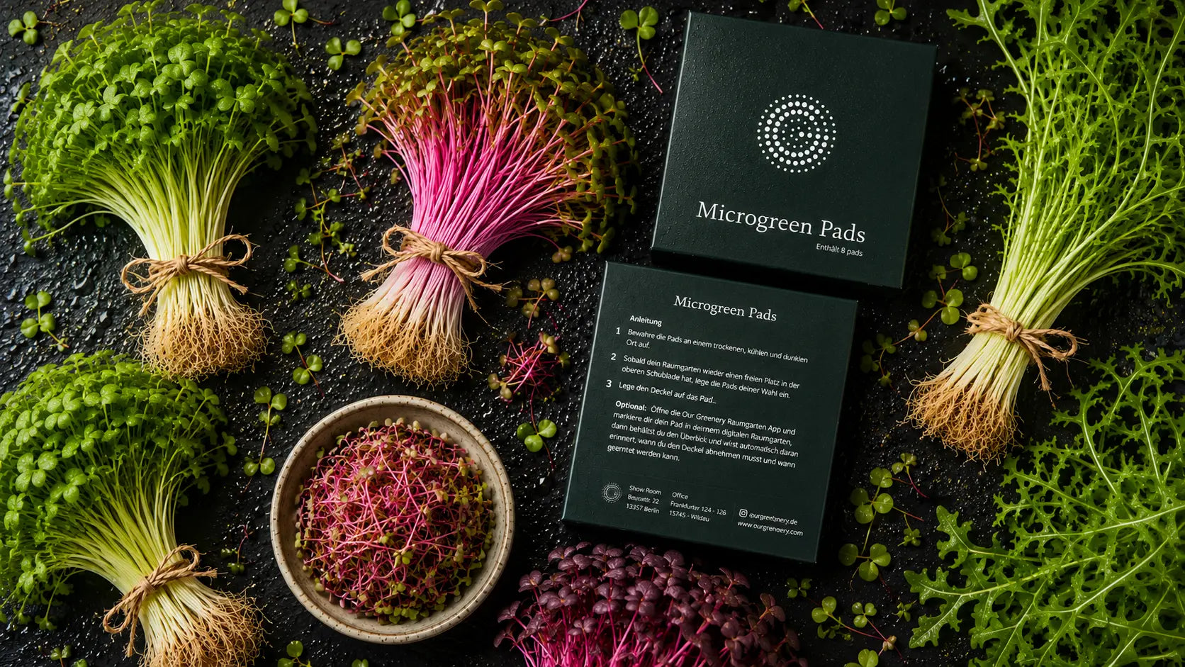 Microgreens-Daily-Boost our greenery