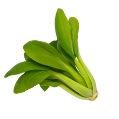 Plugs - Pak Choi - 12 Stk.