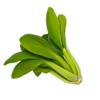 Plugs - Pak Choi - 12 pcs.