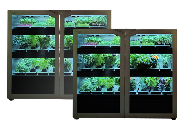 Café Plant Set