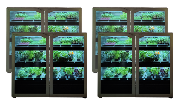 Small Canteen Plant Set