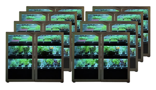 Large Canteen Plant Set