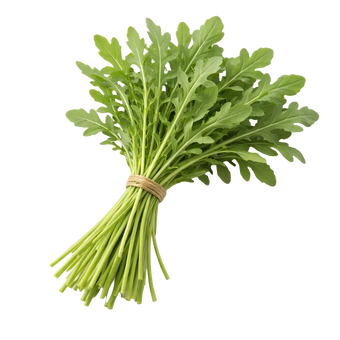 Plugs - Rucola - 12 Stk.