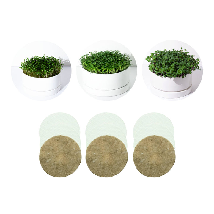 Tischgarten mit 3 Sorten Microgreens Lieferumfang Set