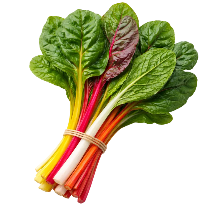 Plugs - Gourmet Favorites Mix 4 x 12 pcs.