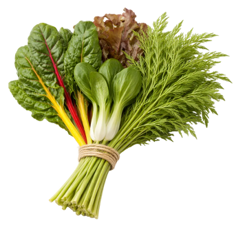 Plugs - Feinschmecker Favoriten Mix 4 x 12 Stk.