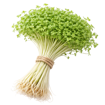 Microgreen Pads - Gartenkresse - Set 8 Stk.