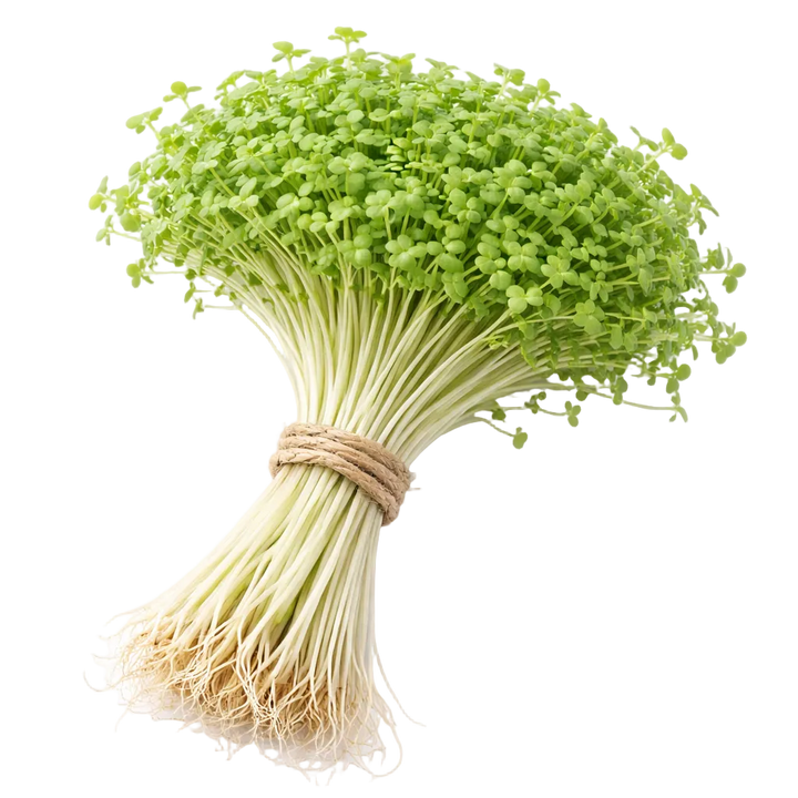 Microgreen Pads - Pure Set of 8 - Garden Cress