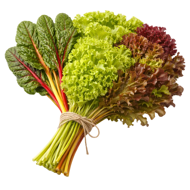 Plugs - Green Garden Mix - 4 x 12 pcs.