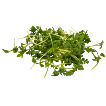 Microgreen Pads - Gartenkresse - Set 8 Stk.