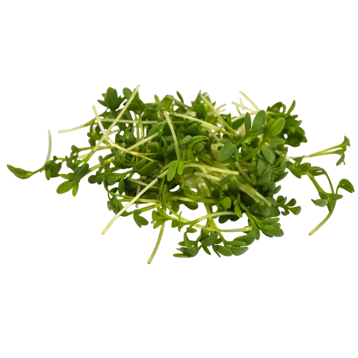 Microgreen Pads - Pure Set of 8 - Garden Cress