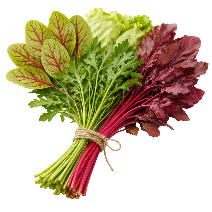 Plugs - Herbal Harmony Mix 4 x 12 pcs.