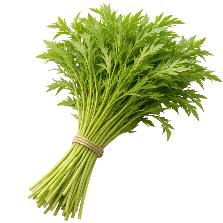 Plugs - Gourmet Favorites Mix 4 x 12 pcs.