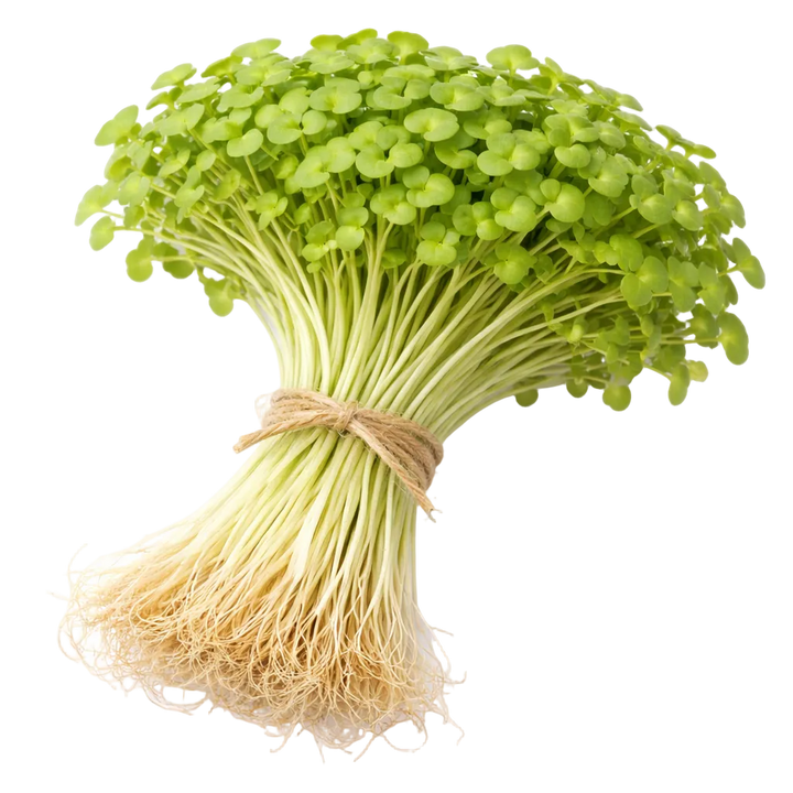 Microgreen Pads - Pure Set of 8 - Mustard