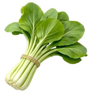 Plugs - Pak Choi - 12 Stk.