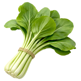 Plugs - Pak Choi - 12 Stk.