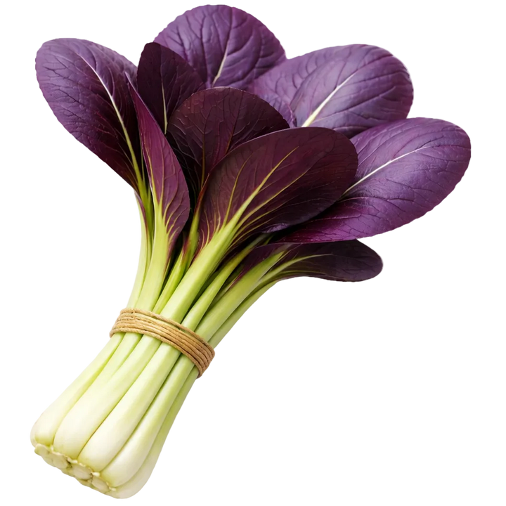 Ein Strauß Lila Pak Choi aus dem Raumgarten