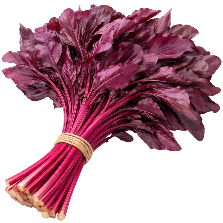 Plugs - Herbal Harmony Mix 4 x 12 pcs.