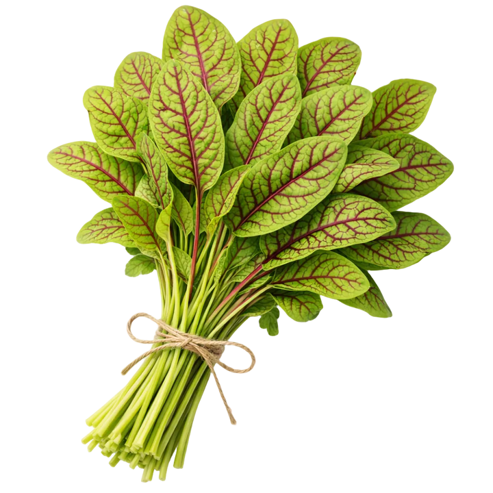 Plugs - Herbal Harmony Mix 4 x 12 pcs.