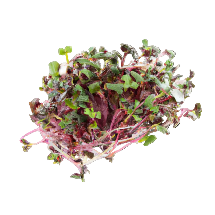 Microgreen Pads - Pure Set of 8 - Radishes pink