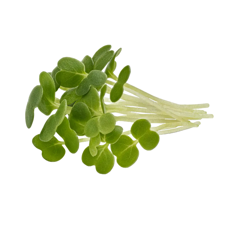 Microgreen Pads - Pure Set of 8 - Rocket