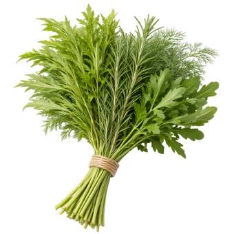 Ein Strauß Rucola, Mizuna, Dill und Rosmarin aus dem Raumgarten