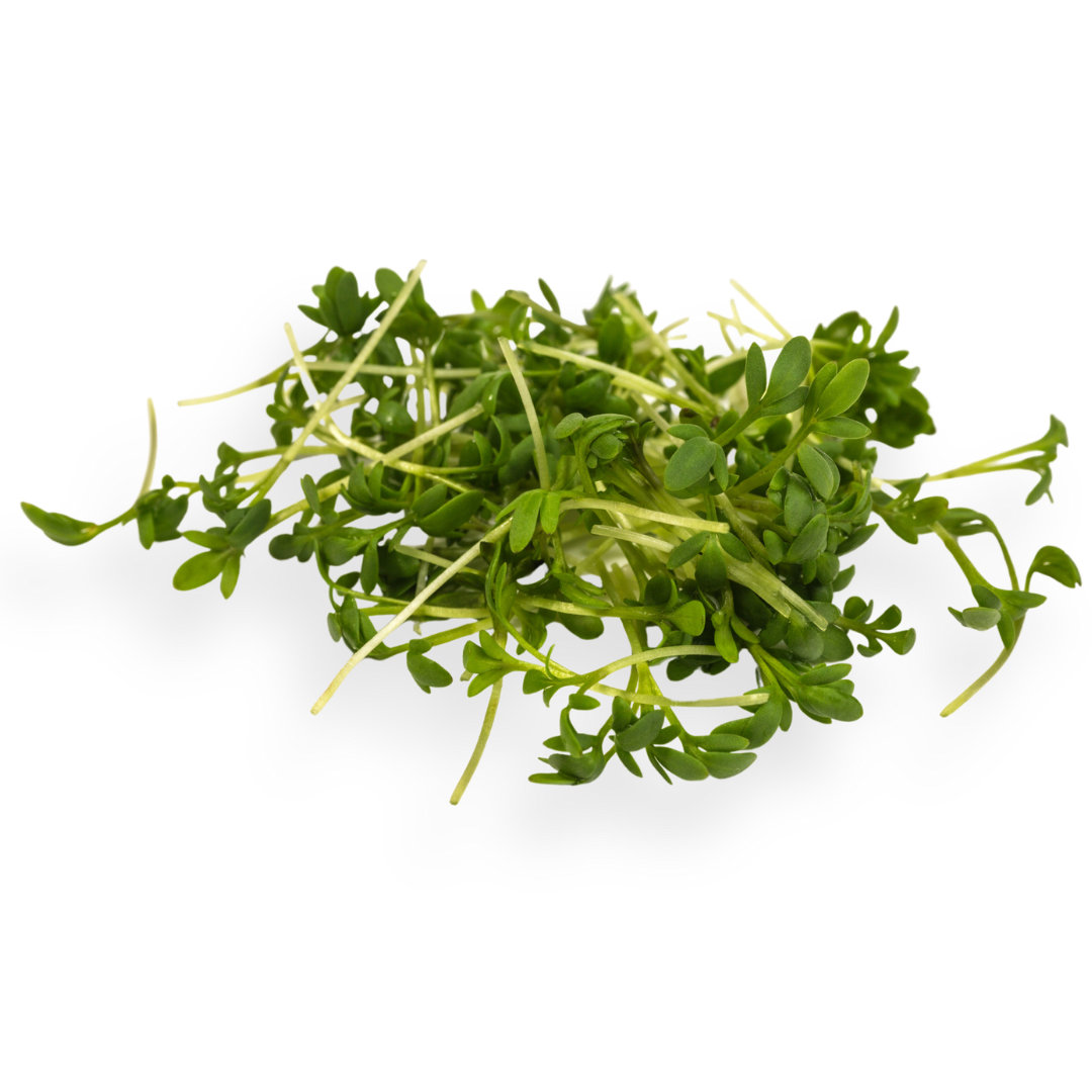 Microgreen Pads - Pure Set of 8 - Garden Cress