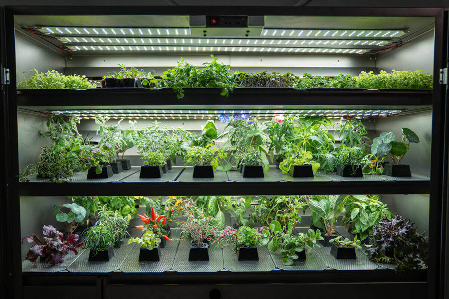 LED Indoor Garten mit mehrstöckigem Bewässerungssystem und Kräutern im vertikalen Raumgarten für nachhaltiges Home Gardening.