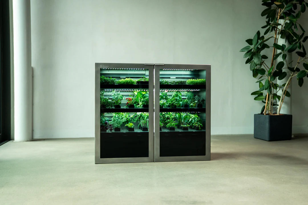 Raumgarten Pro – vertikale Indoor Farm für Restaurants und Gastronomie